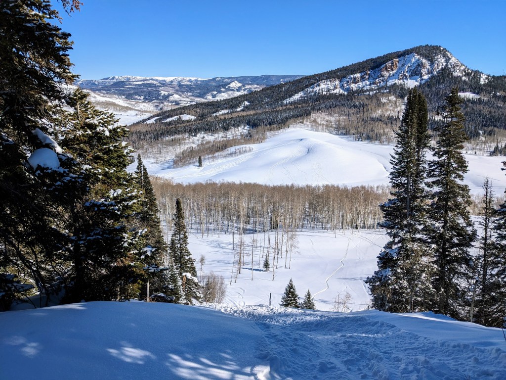 The BlueBird Experience