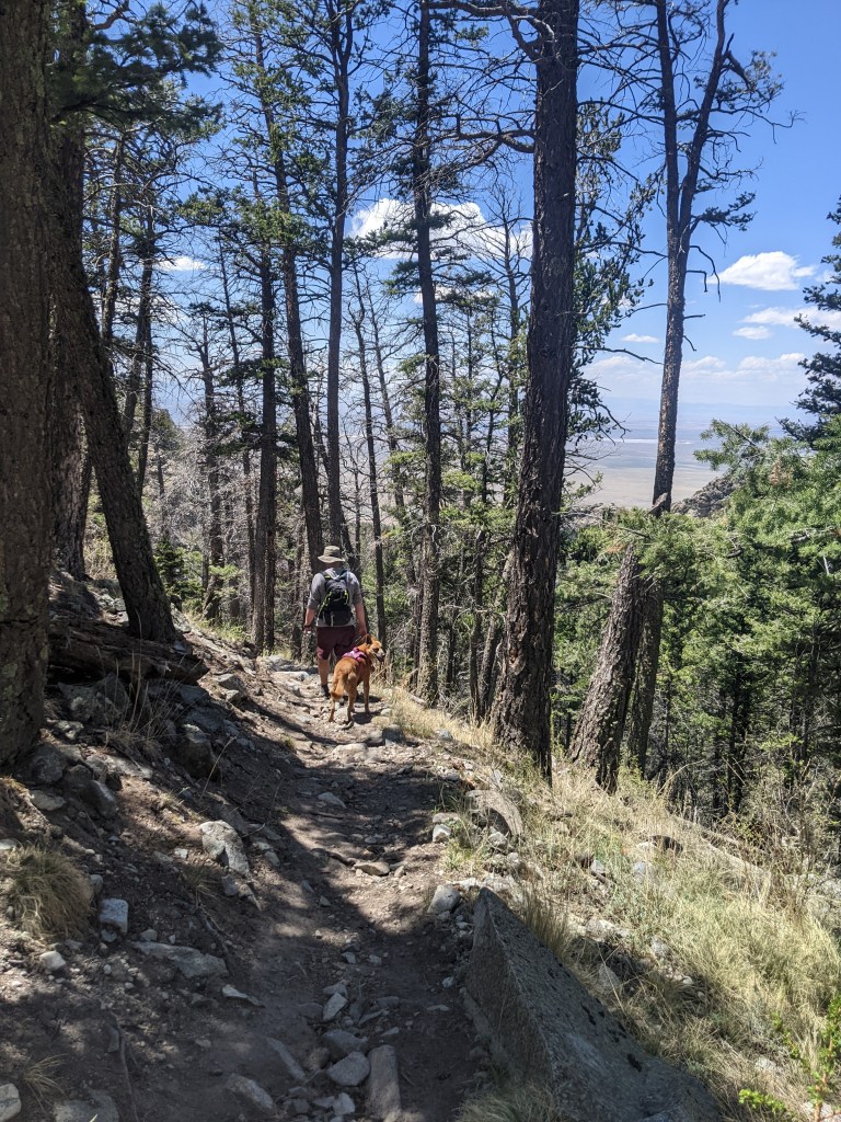 Hiking back down, just below the cabin.